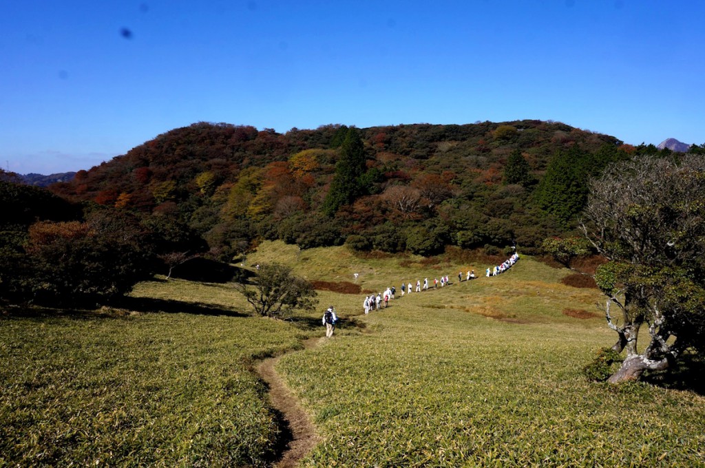 椿大神社 -滝行・奥宮参拝-